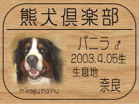 �o�j�_���}�}����̂g�o�ւf�n�I